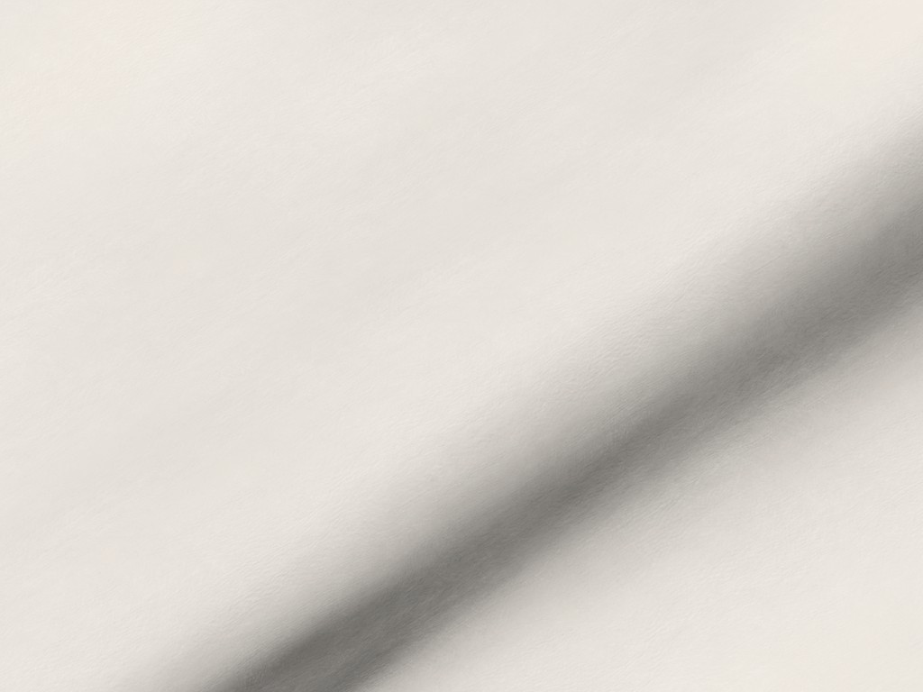 DOMINO